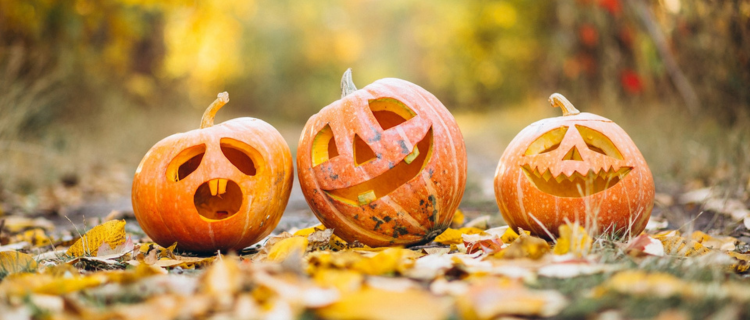 Three carved pumpkins for the Autumn Statement 2024