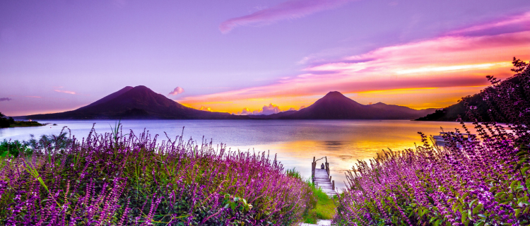 sunset landscape: How to see your way through volatile markets